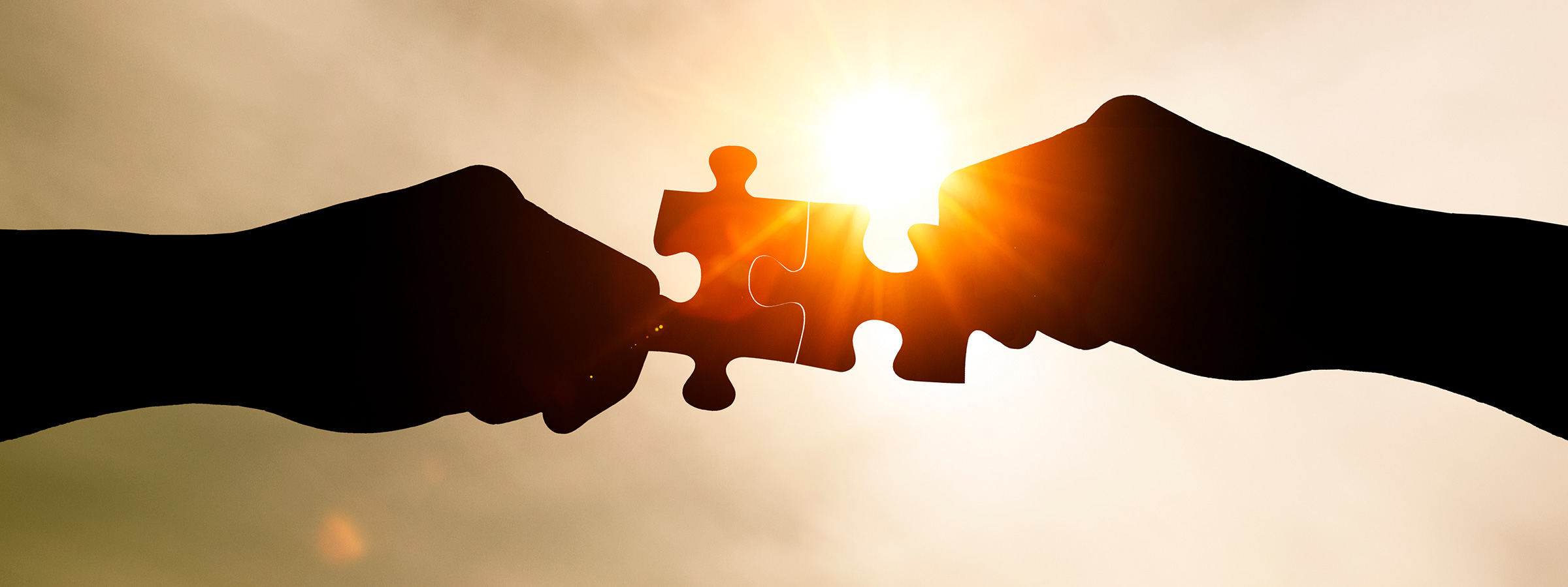 Partner Netzwerk